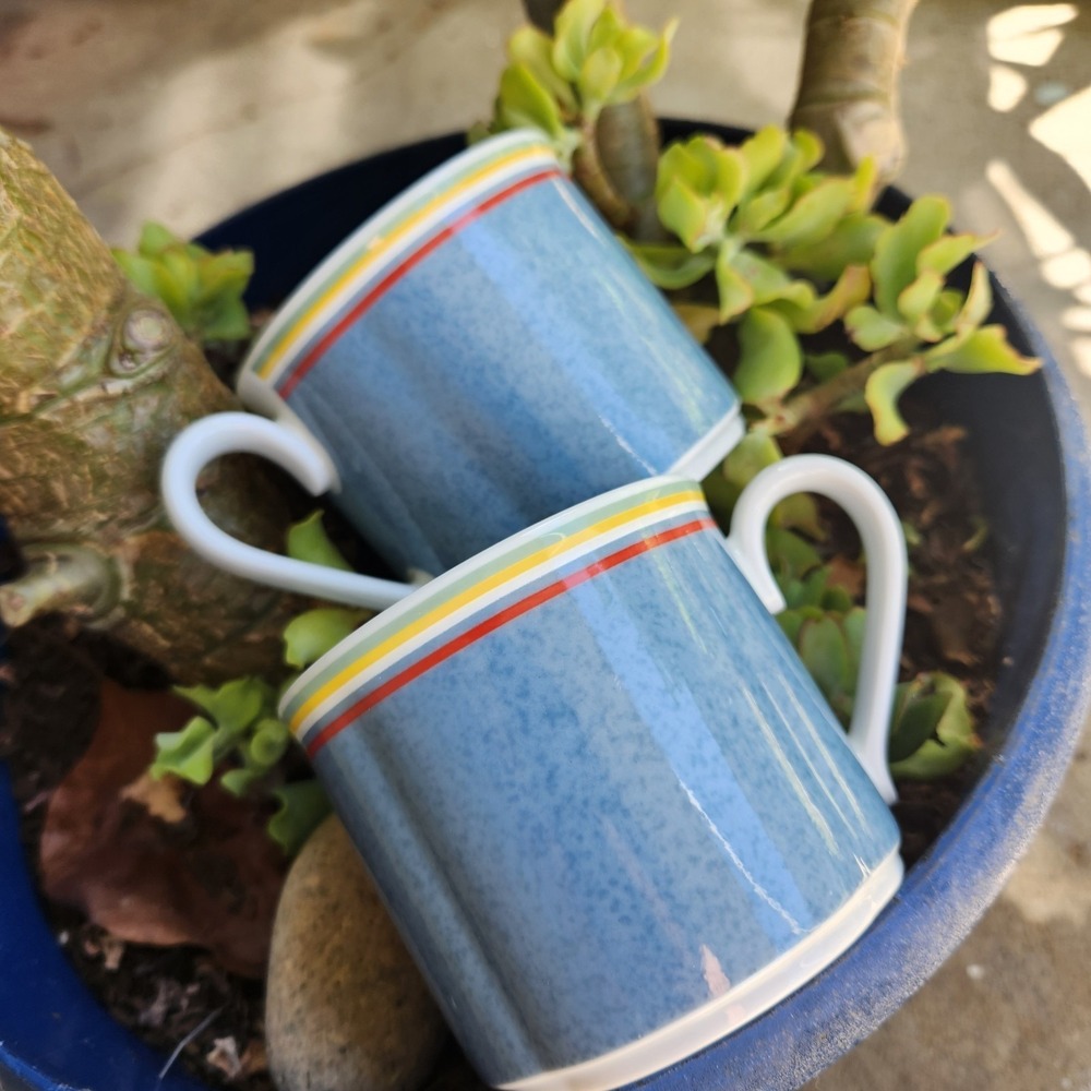 Villeroy & Boch  Switch 1 Beala Breakfast Cups Coffee Cups Set Of 2 Discontinued